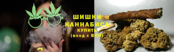 PSILOCYBIN Бородино